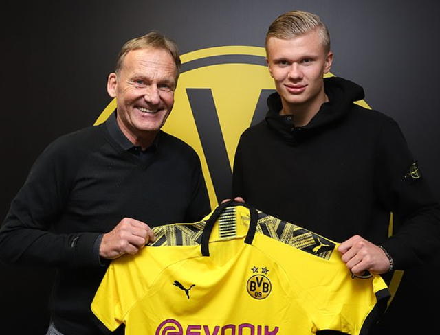 汤普森或泰 汤普森或泰