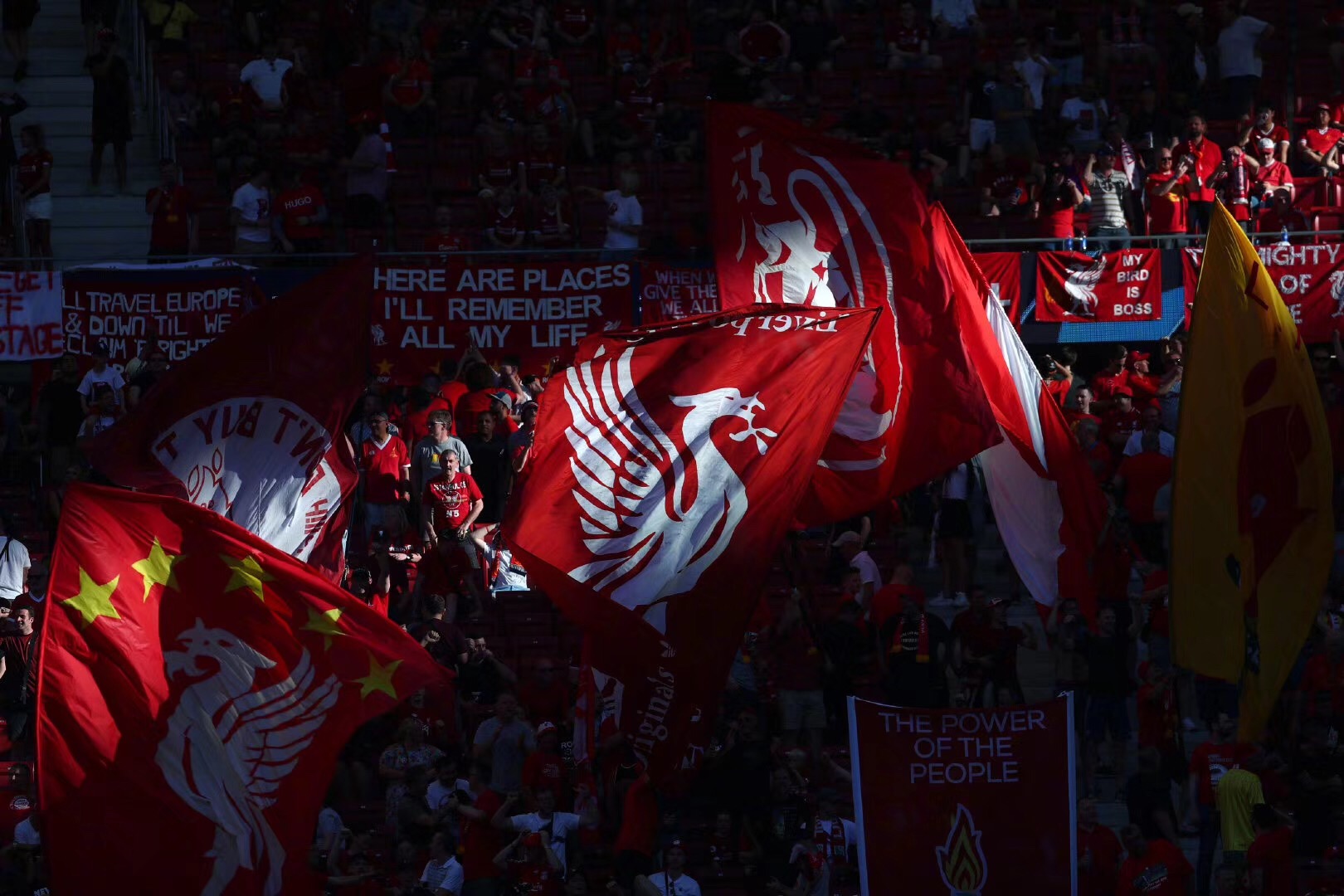 米区域形成 米区域形成